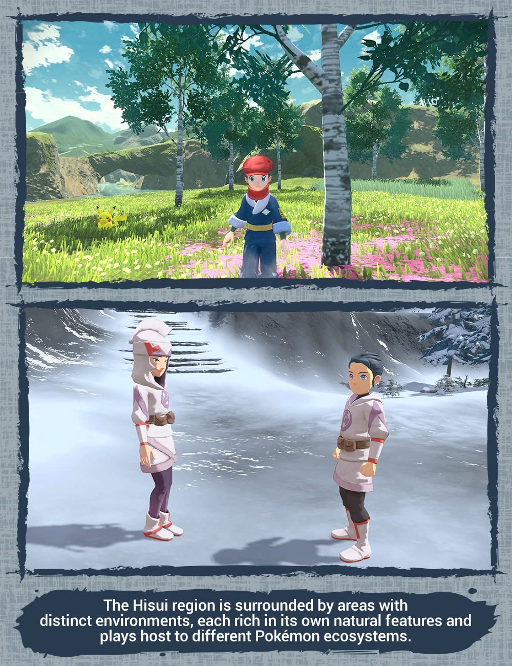 Nintendo Switch Game - Pokémon Legends Arceus