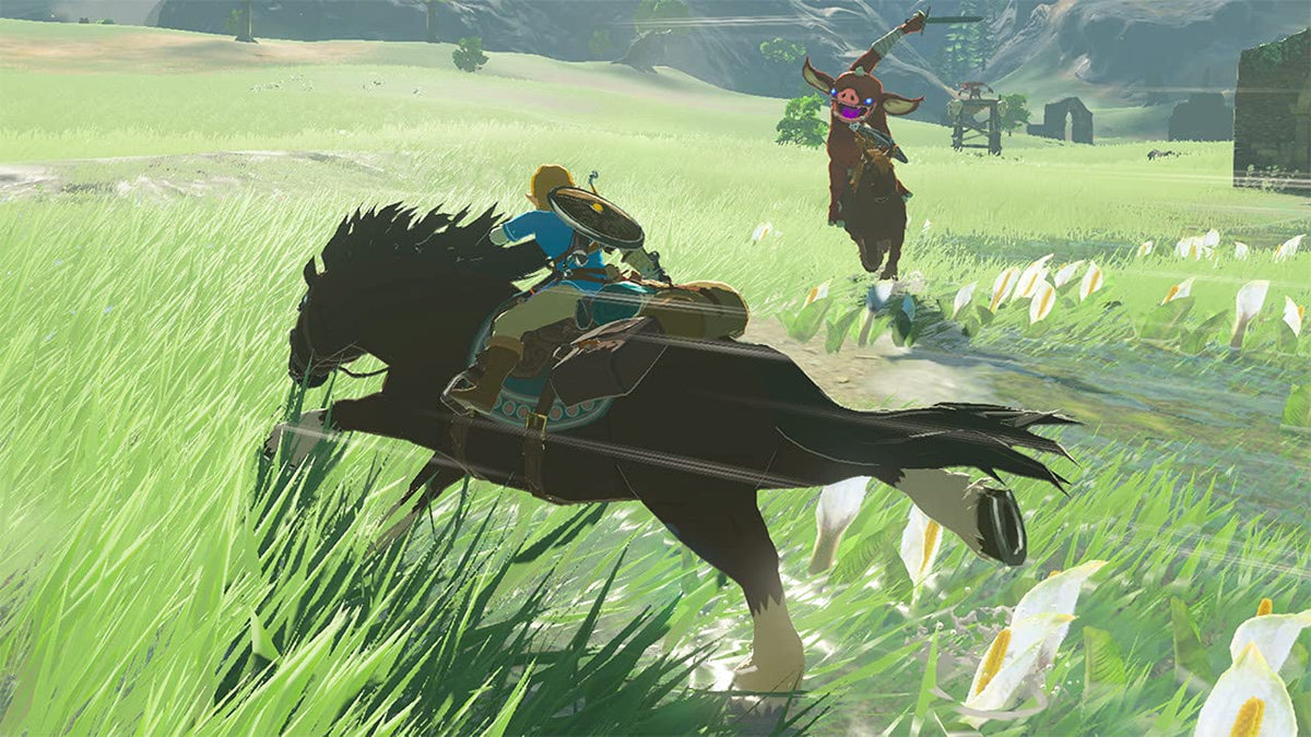 Nintendo Switch Game - The Legend Of Zelda: Breath Of The Wild Limited Edition